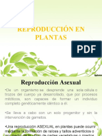 D Reproduccic3b3n en Vegetales