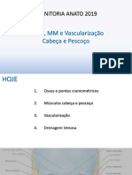 19.05.15 - Aula 05 - Ossos, MM e Vasc Cab e Pescoço PDF