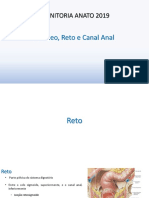 Anatomia do Reto, Canal Anal e Períneo