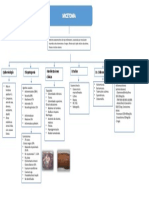 Mapa Micetoma