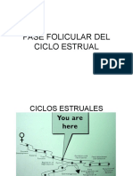 8.9 Fase Folicular Del Ciclo Estrual