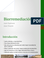 Biorremediación