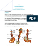 FICHA DE CATEDRA - Esófago Anatomía PDF