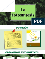 Diapositivas Fotosintesis PDF