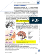 Cerebro Emocional 6pg PDF