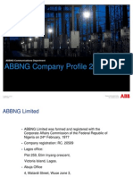 ABBNG Profile 2009