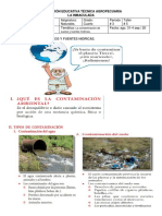 Taller Naturales Grado Cuarto