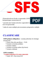 Glomerulonefrita Focala Si Segmentara