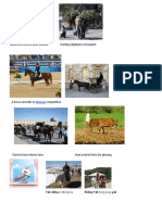 Draft animals used for transport and farm work
