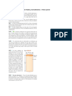 Taller Fluidos y Termodinámica - Primer Parcial PDF