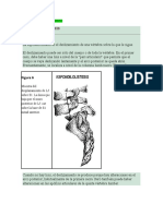 R3 6a Parte