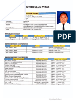 CURRICULUM VITAE (DEDY IRAWAN)