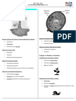 Reino Fungi - Fungos 1 - Folhinha PDF