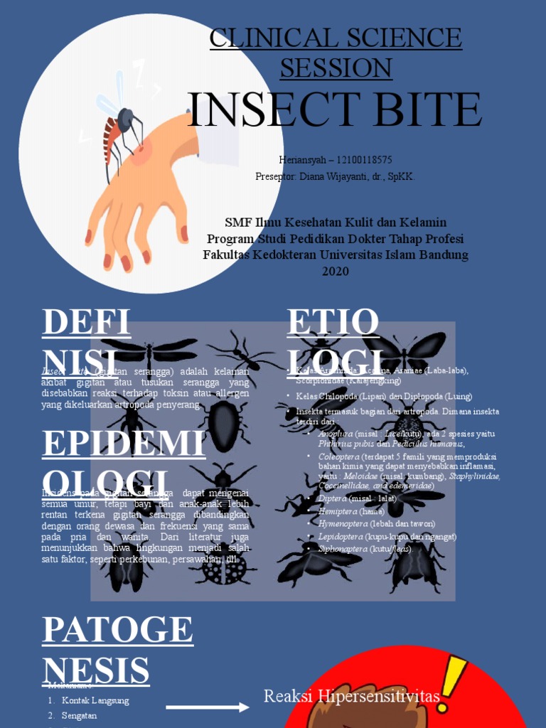 CSS - Insect Bite - Heriansyah - 15B | PDF