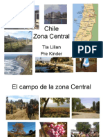 Zona Central de Chile: ciudades, montañas y más