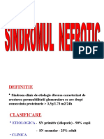 Sindrom Nefrotic