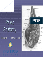 PelvicAnatomyForResident.pdf