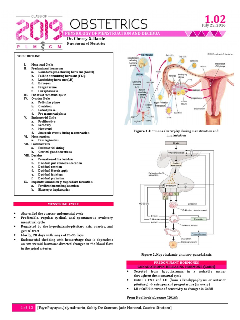 Physiology of Menstrual Cycle Overview | PDF | Luteinizing Hormone ...