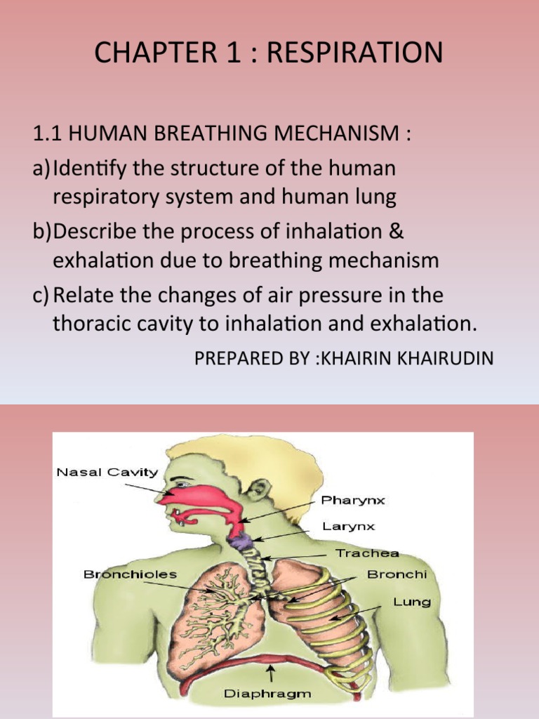 Chapter 1 Science Form 3 | PDF