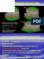 Biomembrane, Transport Prin Membrane