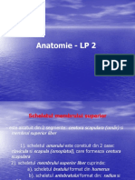 Anatomie - LP 2