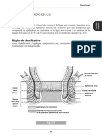 Canal Anal PDF