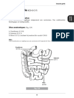 intestin-grele.pdf