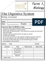 The Digestive System: Term 1, Biology Assessmen