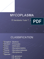 (Kating) Mycoplasma
