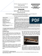 Bionic Final PDF