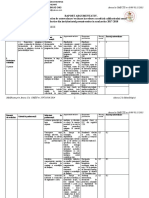 Raport Argumentativ Model