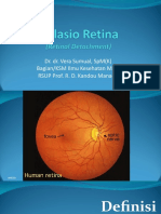 Ablasio Retina 2019