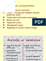 Polar Region