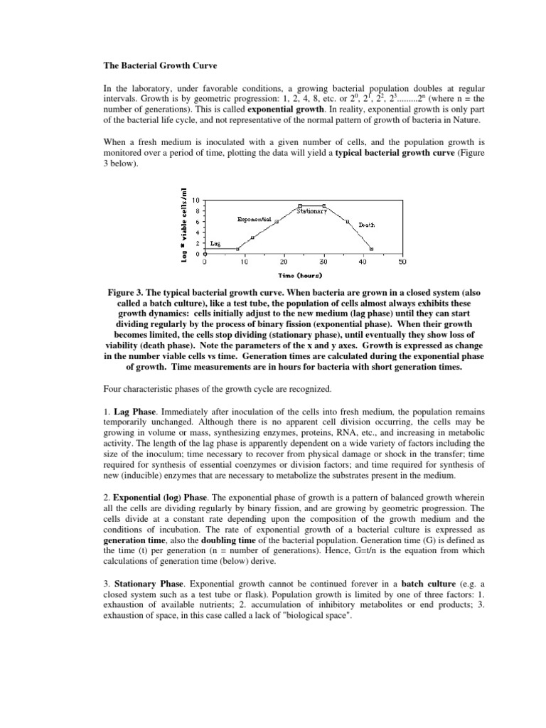 Bacterial Growth Curve Phases Explained | PDF | Cell Growth | Bacteria