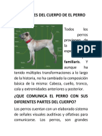 Partes cuerpo perro comunican