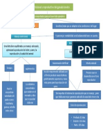 Mapa Conceptual Rafael Vargas