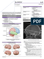 RADIOLOGY 1.7 Neuroradiology (CT)