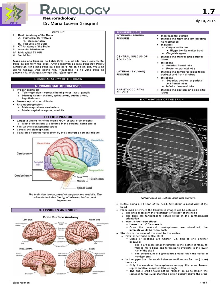 Neuroradiology: Brain Anatomy Overview | PDF | Cerebrospinal Fluid ...