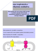 Catena Respiratoria