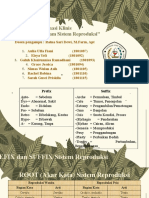 (Edited) Istilah Medis Pada Sistem Reproduksi - Kel 7 - S1-4C