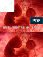 Desarrollo fetal en el útero