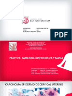 PRACTICA 10_ PATOLOGÍA GINECOLÓGICA_PATOLOGÍA ESPECIAL_HIPOLITO.pdf
