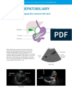 Imaging The Common Bile Duct