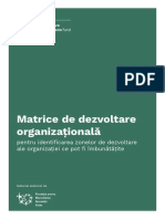 Matrice-de-Dezvoltare-Organizationala.pdf