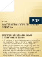 Constitucionalización Der. Ambiental