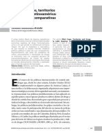 Cultivos ilícitos, territorios.pdf