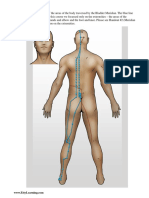 Bladder Meridian