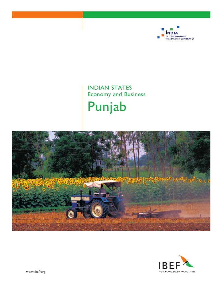 Punjab visual data 7