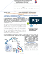 Guía-nº3-genética.pdf