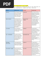 Reproductive System Chart